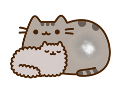 Two cats